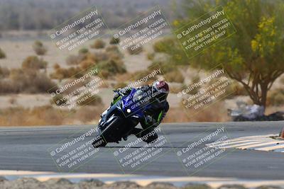 media/Apr-10-2022-SoCal Trackdays (Sun) [[f104b12566]]/Turn 5 Tree of Life (1040am)/